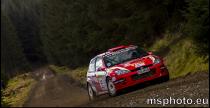 Pirelli Rally